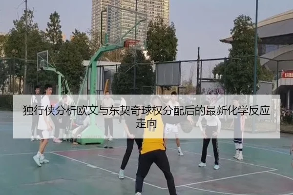 独行侠分析欧文与东契奇球权分配后的最新化学反应走向